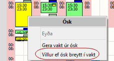 villugluggi_ósk_breytt_í_vakt.gif